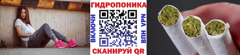 Бошки марихуана ГИДРОПОН  Скопин 